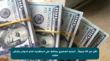 أقل من 48 جنيهاً.. الجنيه المصري يحافظ على استقراره أمام الدولار بشكل ملفت